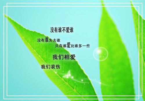 英文版结婚祝福语精选